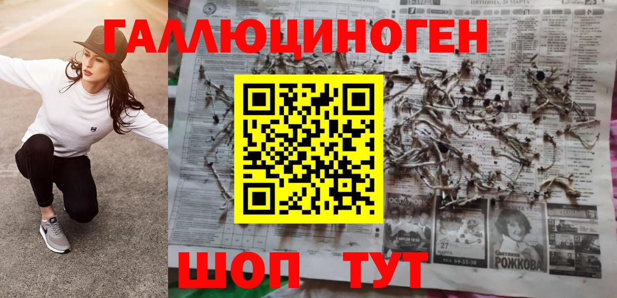 Горно-Алтайск  Галлюциногенные грибы Psilocybe  Вход с VPN 